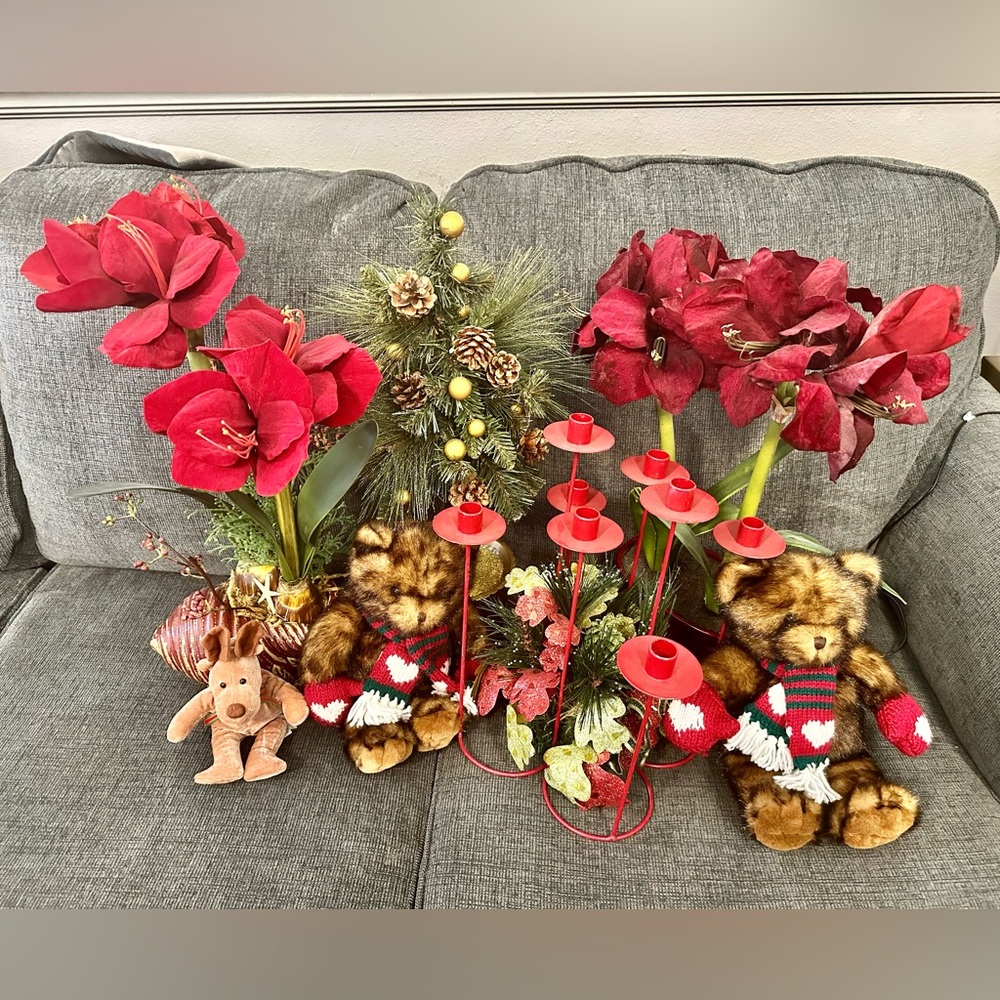 LOOK CLOSE! Christmas bundle last year. Dillards and macys stores. Used 1x